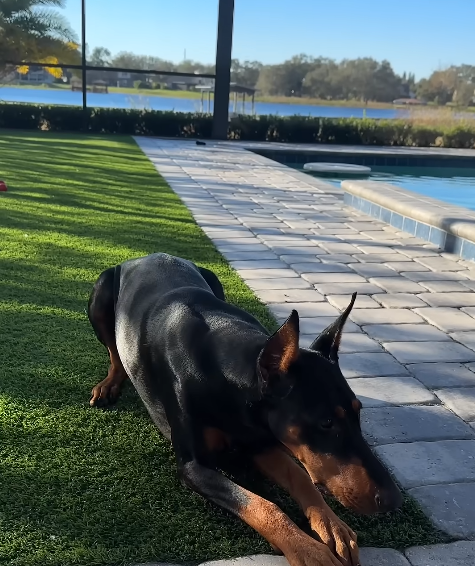 Morning Training