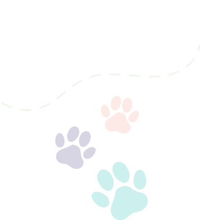 pet-team-bg
