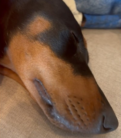 My baby sleeping!
