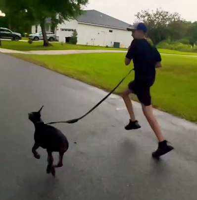 Fast as fluff boy!