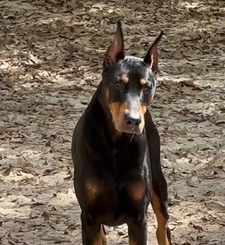 Nyx’s dad is a beast!