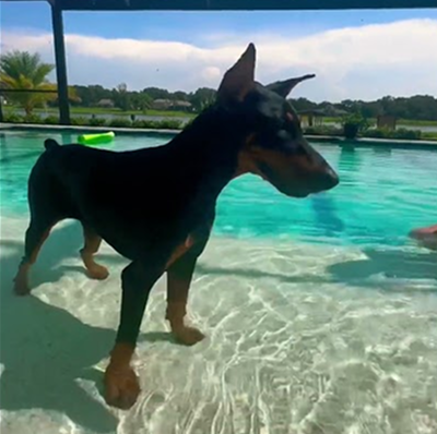 Her first time in the pool!
