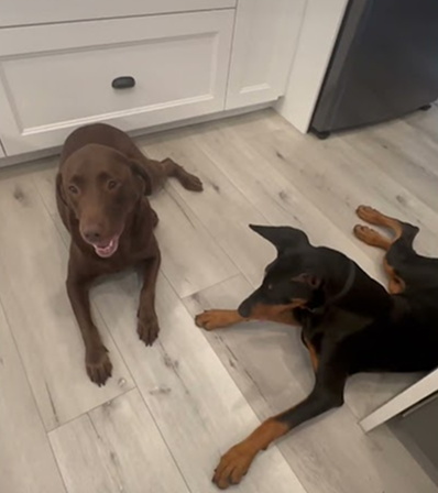 Did we just become best friends?