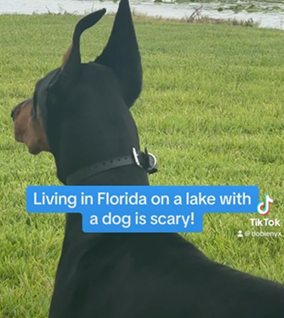 Living on a lake in Florida