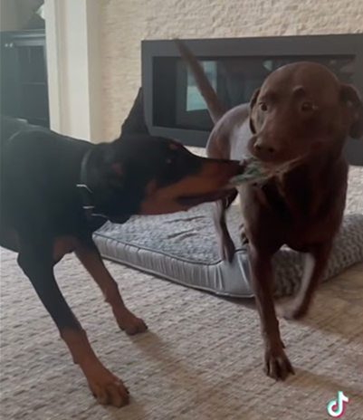 Besties until Nyx gets annoyed