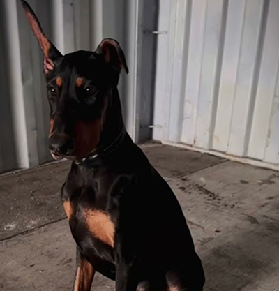 Pretty girl at 5 months