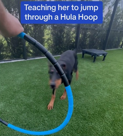 Wow she’s so talented lol