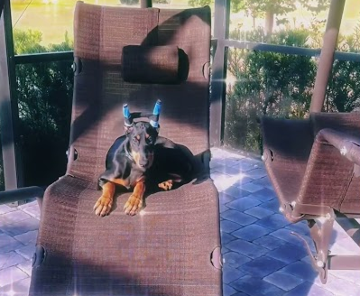 She loves her swing!