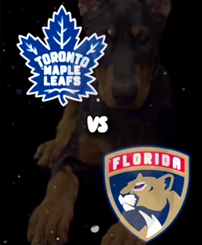My Dobie predicts the #StanleyCupPlayoffs — Toronto Maple Leafs vs Florida Panthers
