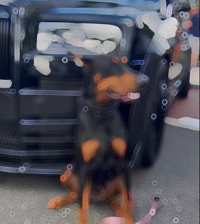 Dog or the car, which one you taking?