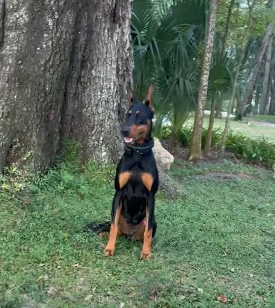 You tryin’ to do something? 🐾❤️🤣