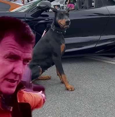 Drug dealer Dobie! 💊💊