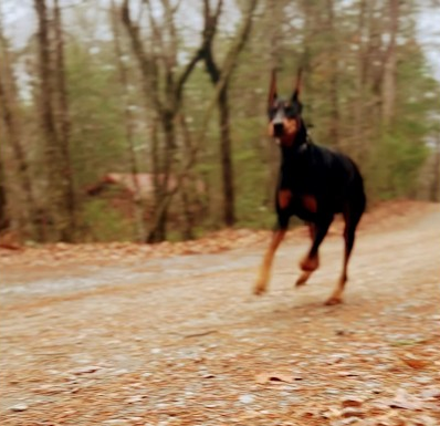 Going for a run!