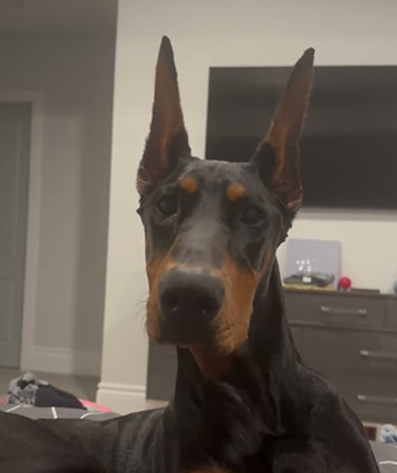 She’s so cute! Nyx