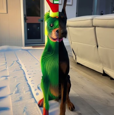 Mr. Grinch