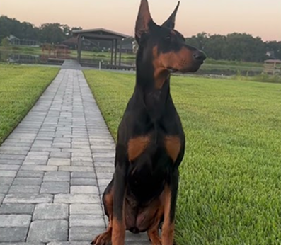 My goofy girl