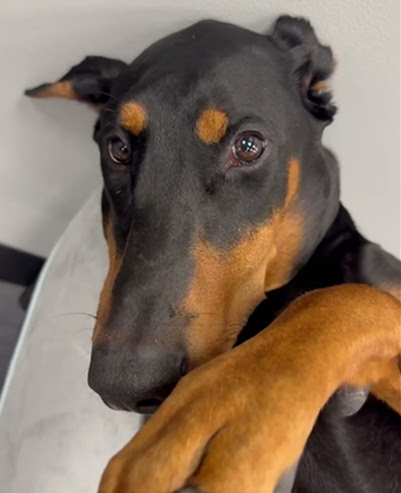 Living her best life