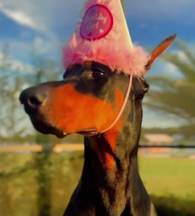 Birthday girl! 🎂🎉🐾