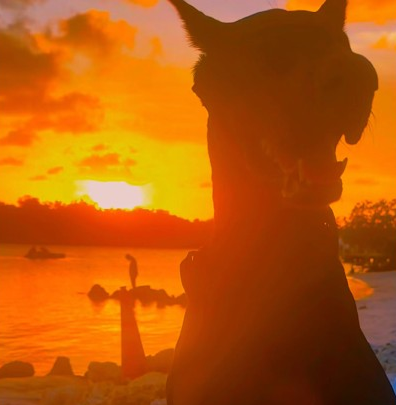 Sunset in the Florida Keys