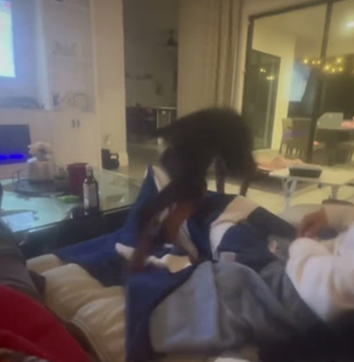 When you are just trying to watch the game