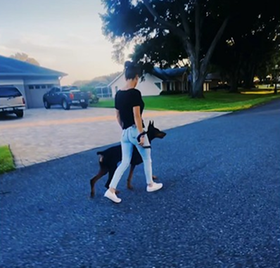 Walking my pups