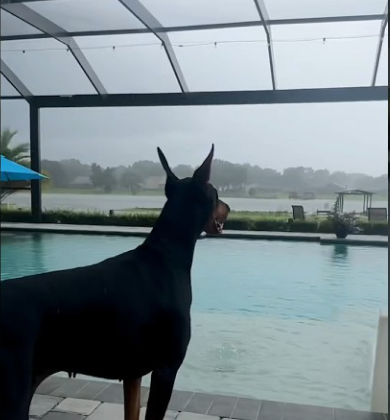 When it stops raining!