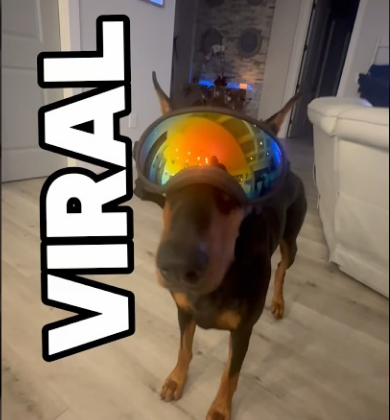 What did I just watch?