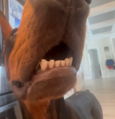That big nose