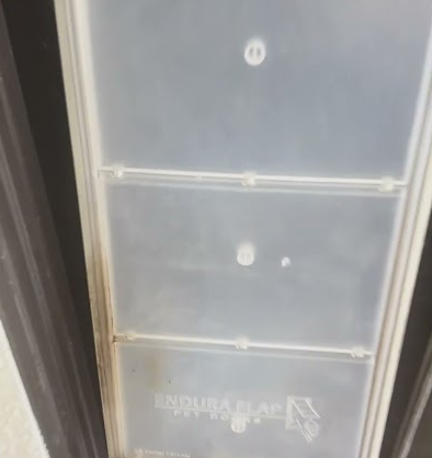 Our doggie door