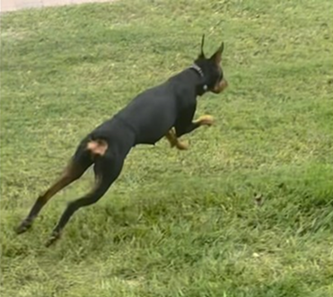 She wins another 🥇