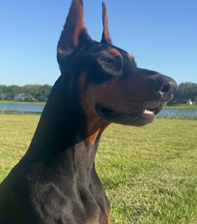She’s a beast but she’s so pretty!