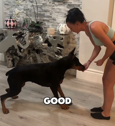 Daily Training with Nyx