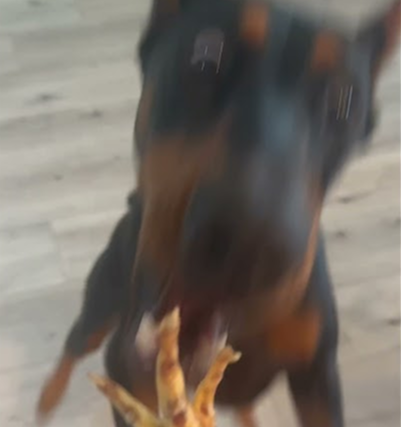 Chicken feet are her favorite!