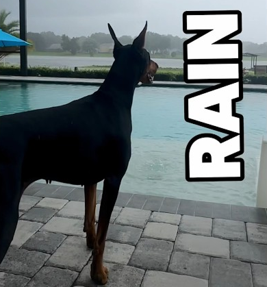 She hates the rain ☔️