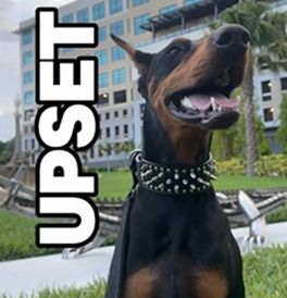 She just found out 🤣