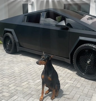 Motivation Dobie 🐾