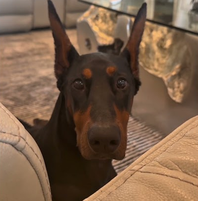 First one to blink Nyx