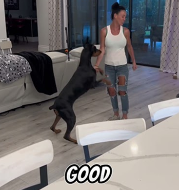 Nyx Training with my Dobie