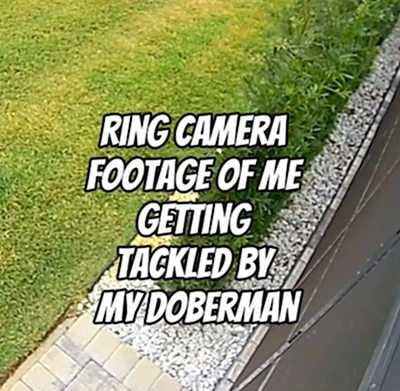 Ring camera footage of me getting tackled by my Doberman