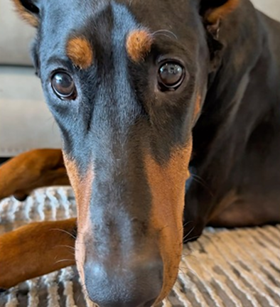 Never try taking her treat away!