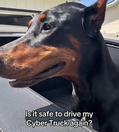 Is it safe to drive my cyber truck again?