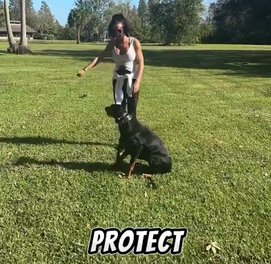 Training at the park