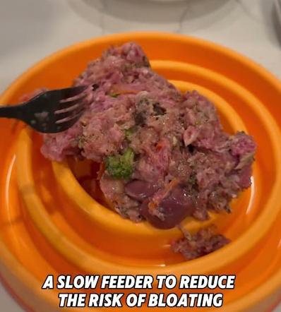 My dogs raw food diet!