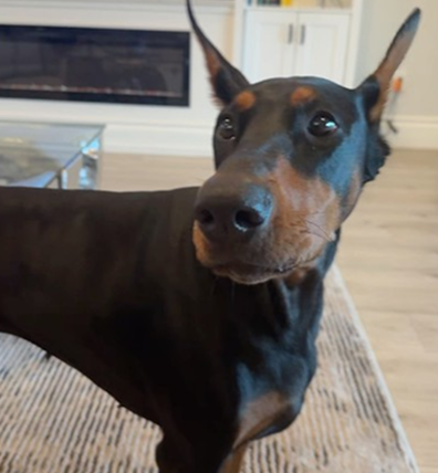 Attitude in the morning