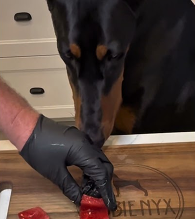 Can dogs eat watermelon?