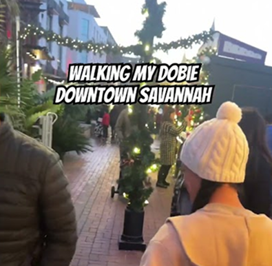 Walking my Doberman in Savannah