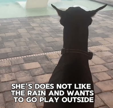 Tornado warnings in central florida