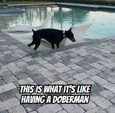 She doesn’t stop 😂