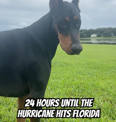 We are in central Florida so hopefully it won’t be that bad!