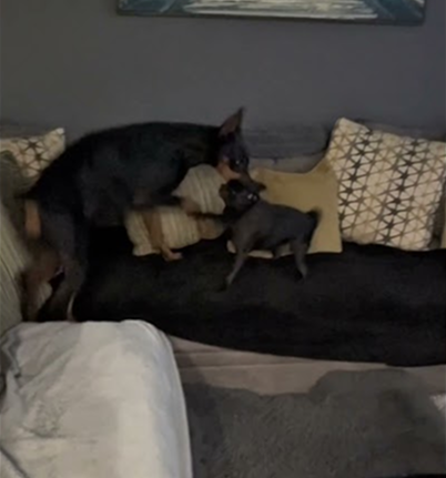 Did you touch my drumset?